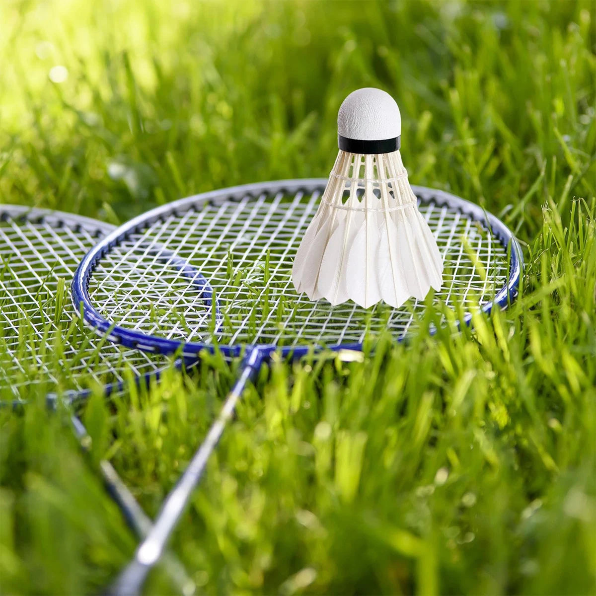 3 volants de badminton professionnels